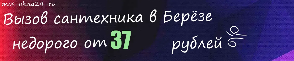 Сантехник в Берёзе